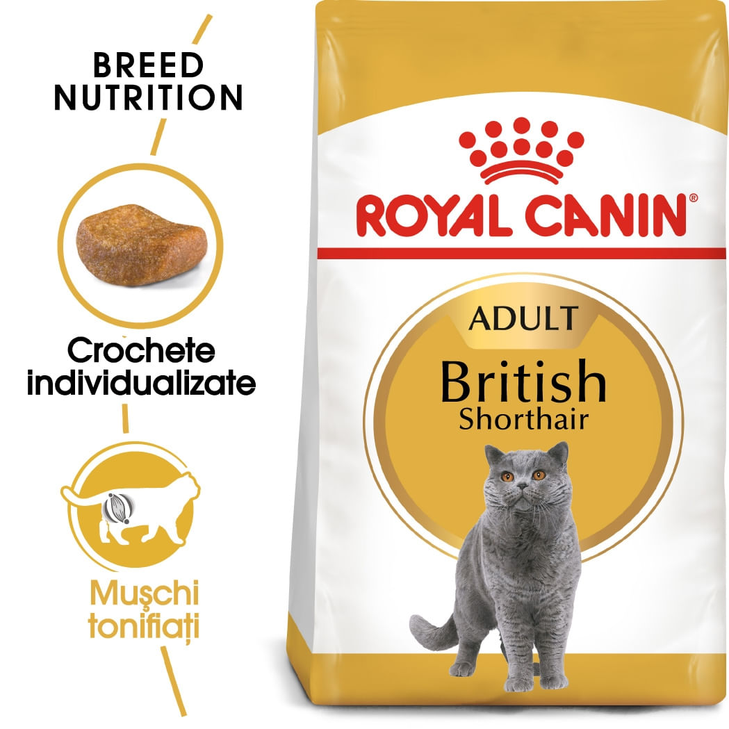 Royal Canin British Shorthair Adult, hrană uscată pisici, 10kg 10Kg