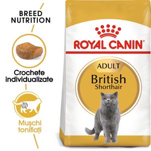 Royal Canin British Shorthair Adult, hrană uscată pisici