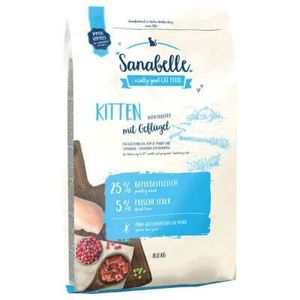 Sanabelle Kitten