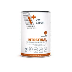 4T Veterinary Diet Gastro Intestinal Dog