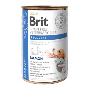 BRIT GF Veterinary Diet Recovery, Somon, dietă veterinară câini și pisici, conservă hrană umedă fără cereale, convalescență, 400g