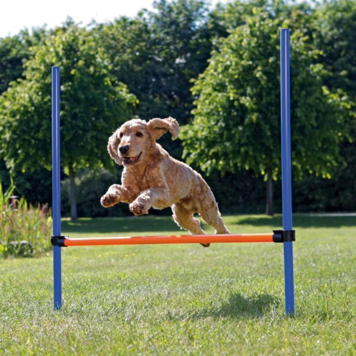 TRIXIE Agility Hurdle, jucărie obstacol câini, plastic, 129cm x 115cm x 3cm, albastru cu portocaliu 115cm