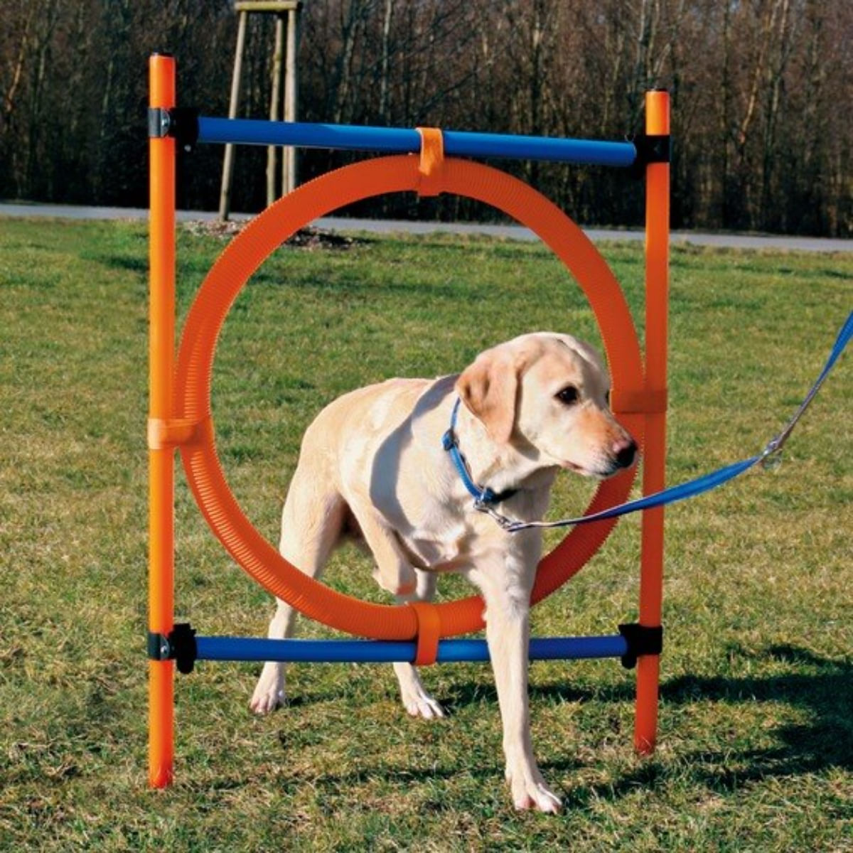 TRIXIE Agility Ring, jucărie obstacol câini, plastic, 65cm, albastru cu portocaliu 65cm