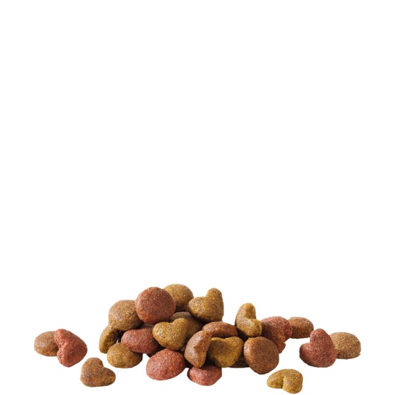 VERSELE-LAGA-Happy-Life-XS-XL-Somon-hrană-uscată-caini-15kg-2