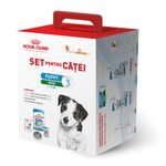 set-pentru-catei-Royal-Canin-Mini-Puppy