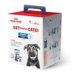 set-pentru-catei- royal-canin-maxi-puppy