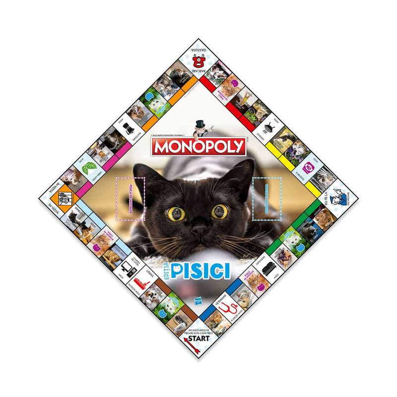 MONOPOLY-PISICI-3