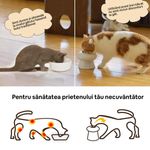 bol_ceramica_apa_meme