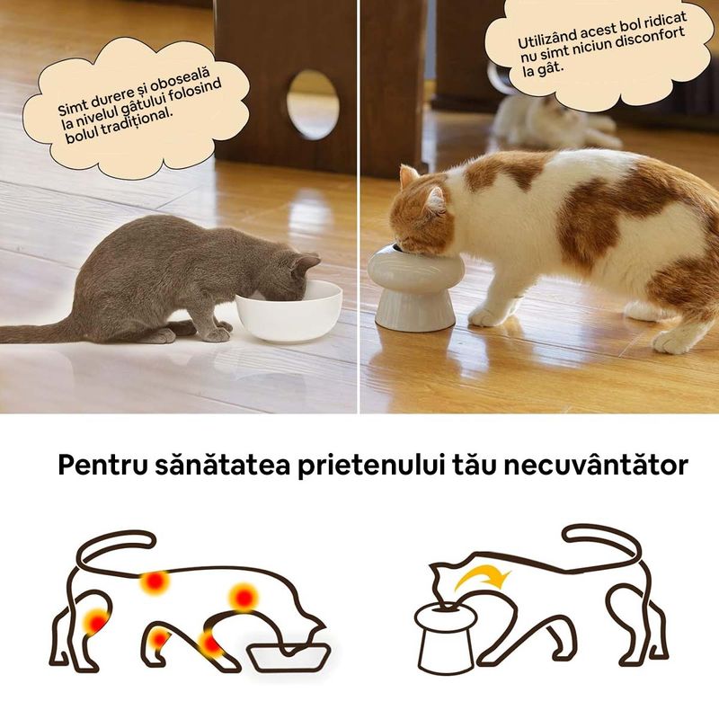 bol_ceramica_apa_meme