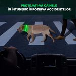 zgarda_LED_verde_5