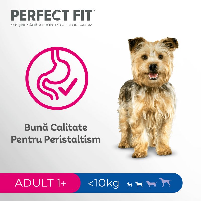 PERFECT-FIT-Dog-Adult-Small-XS-S-Pui-hrană-uscată-caini-825g-5