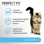 PERFECT-FIT-Kitten-Pui-hrană-uscată-pisici-junior-750g-4