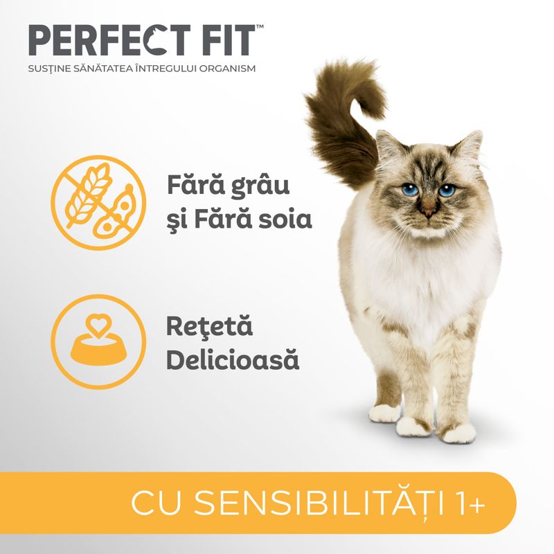 PERFECT-FIT-Cat-Sensitive-1--Curcan-hrană-uscată-pisici-sistem-digestiv-7kg-4