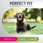 PERFECT-FIT-Dog-Adult-1--M-Pui-hrană-uscată-caini-6kg-5