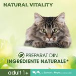 PERFECT-FIT-Natural-Vitality-Somon-și-Pește-alb-hrană-uscată-pisici-650g-5