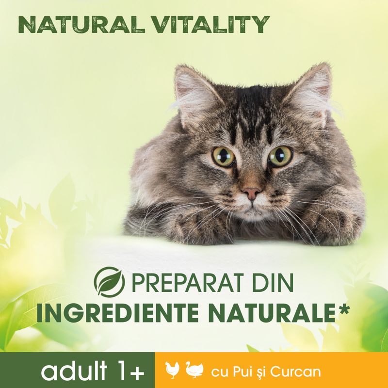 PERFECT-FIT-Natural-Vitality-Pui-și-Curcan-hrană-uscată-pisici-650g-4