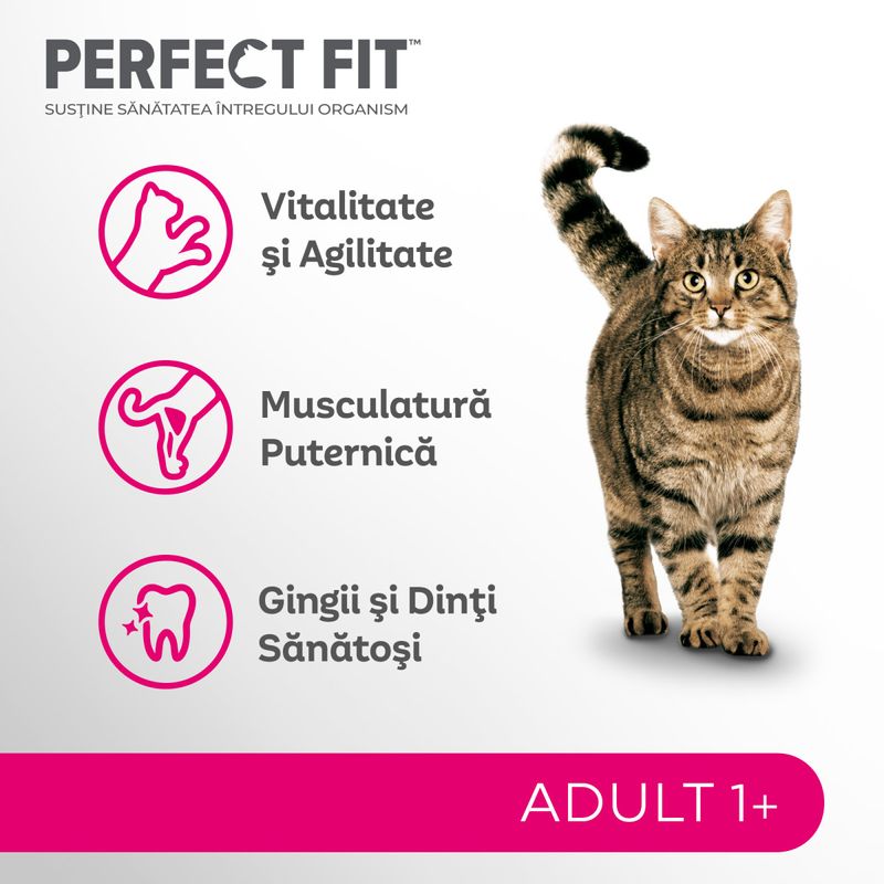 PERFECT-FIT-Cat-Adult-1--Somon-hrană-uscată-pisici-750g-4