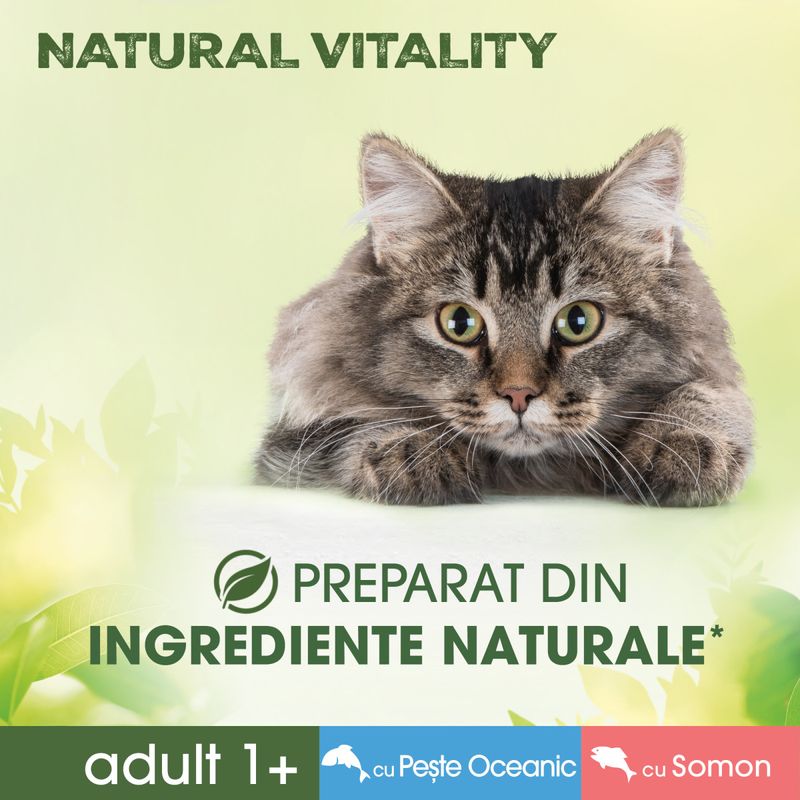 PERFECT-FIT-Natural-Vitality-Somon-și-Pește-plic-hrană-umedă-fără-cereale-pisici--in-sos--multipack-50g-x-6buc-4