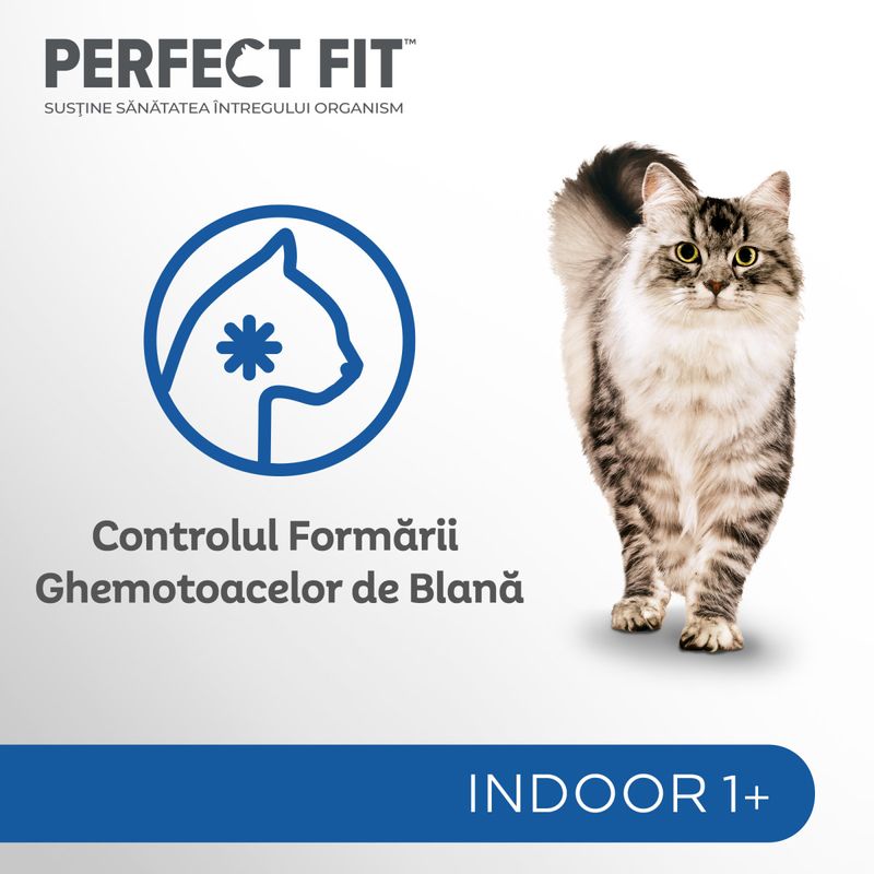 PERFECT-FIT-Cat-Indoor-1--Pui-plic-hrană-umedă-pisici--in-sos--85g-4