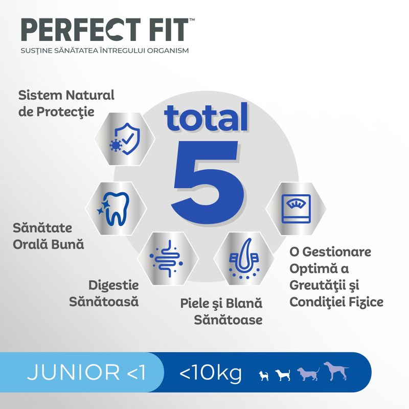 PERFECT-FIT-Dog-Junior-Small-XS-S-Pui-hrană-uscată-caini-junior-825g-5
