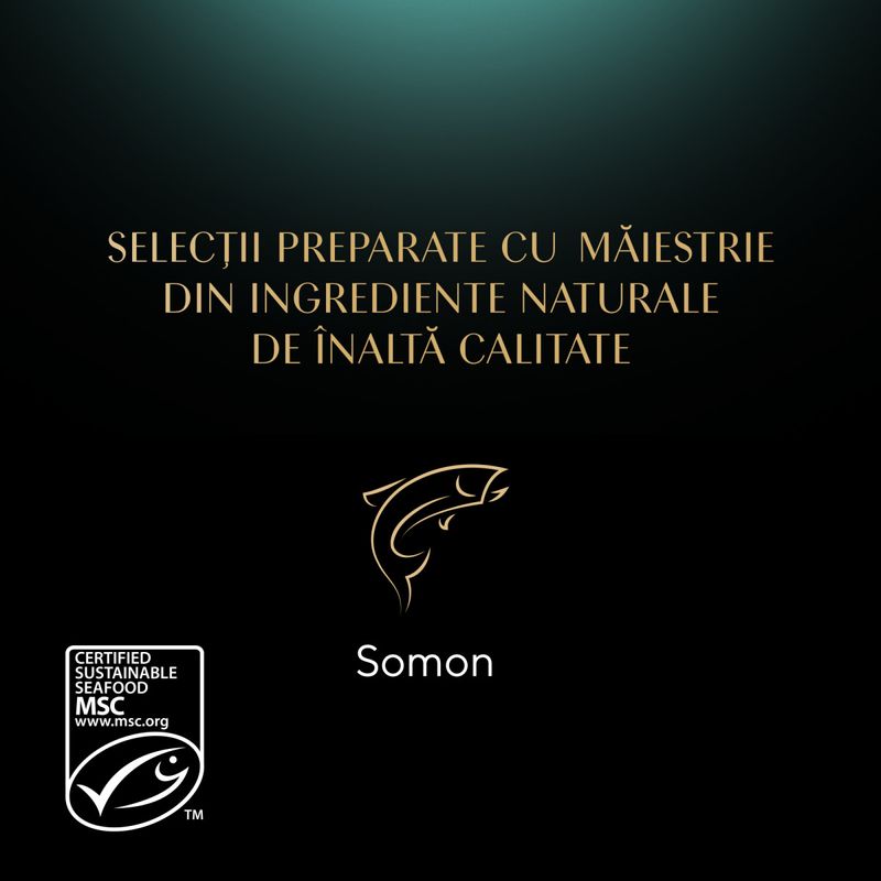 SHEBA-Nature-s-Collection-Somon-plic-hrană-umedă-fără-cereale-pisici--in-sos--85g-4