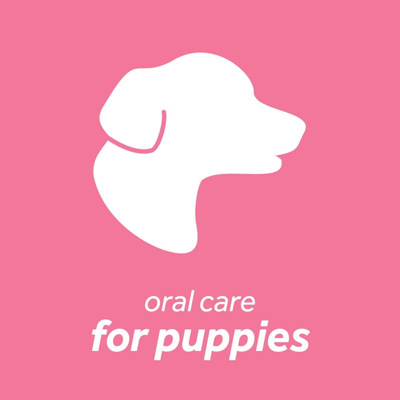 Tropiclean_kit_oral_care_puppy--6-