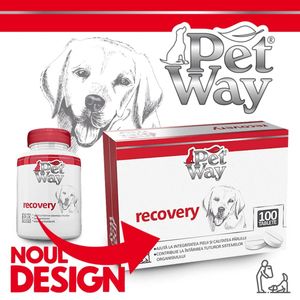 PETWAY Recovery, XS-XL, supliment convalescență câini, cutie, 100 comprimate