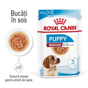 ROYAL CANIN Medium Puppy, hrană umedă câini junior, (în sos)