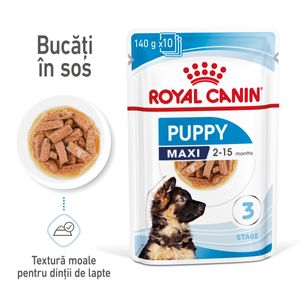 ROYAL CANIN Maxi Puppy, hrană umedă câini junior, (în sos)