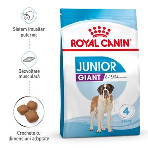 ROYAL CANIN Giant Junior, hrană uscată câini junior, etapa 2 de creștere