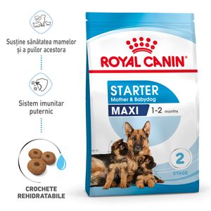 ROYAL CANIN Maxi Starter Mother & Babydog, mama și puiul, hrană uscată câini