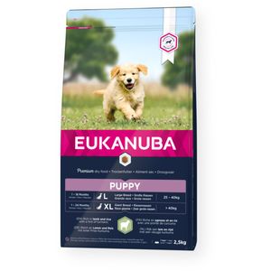 EUKANUBA Puppy Large Breed, L-XL, Miel și Orez, hrană uscată câini junior