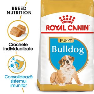 ROYAL CANIN Bulldog Puppy hrană uscată câini junior, 3kg