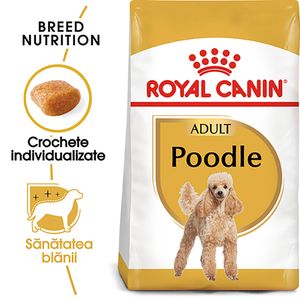 ROYAL CANIN Poodle Adult, hrană uscată câini, 1.5kg