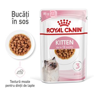 ROYAL CANIN Kitten, hrană umedă pisici junior, (în sos)