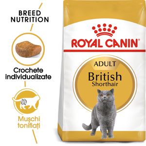 ROYAL CANIN British Shorthair Adult, hrană uscată pisici