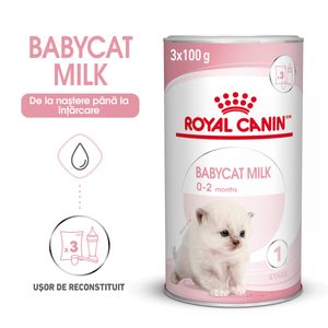 ROYAL CANIN BabyCat Milk, înlocuitor lapte matern pisici, 300g