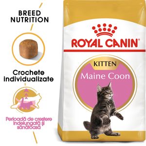 ROYAL CANIN Maine Coon Kitten, hrană uscată pisici junior