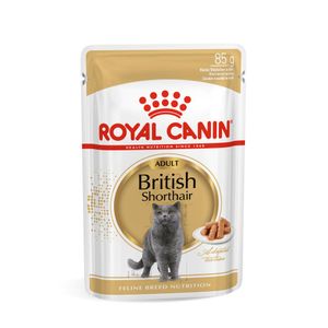 ROYAL CANIN British Shorthair Adult, hrană umedă pisici, (în sos)