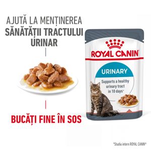 ROYAL CANIN Urinary Care Adult, hrană umedă pisici, sănătatea tractului urinar, (în sos)