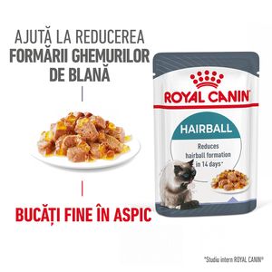 ROYAL CANIN Hairball Care Adult hrană umedă pisici limitarea ghemurilor de blană (în aspic)