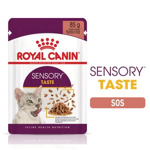 ROYAL CANIN Sensory Taste hrană umedă pisici stimularea gustului (în sos)