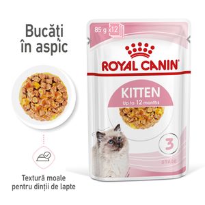 ROYAL CANIN Kitten, hrană umedă pisici, (în aspic)