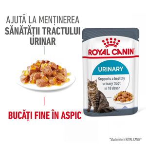 ROYAL CANIN Urinary Care Adult hrană umedă pisici sănătatea tractului urinar (în aspic)