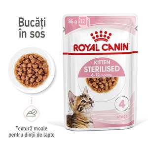 ROYAL CANIN Kitten Sterilised hrană umedă pisici sterilizate junior (în sos)