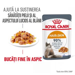 ROYAL CANIN Hair&Skin Care Adult hrană umedă pisici piele & blană (în aspic)