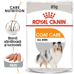 ROYAL CANIN Coat Care Adult, hrană umedă câini, blană sănătoasă și lucioasă, (pate)