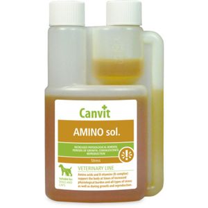 CANVIT Amino, supliment convalescență, activitate intensă câini, suspensie orală