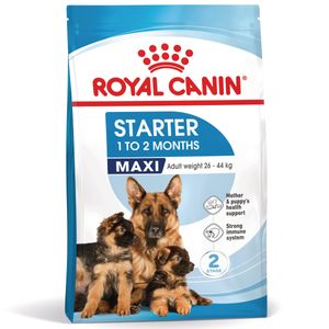 ROYAL CANIN Maxi Starter Mother & Babydog, mama și puiul, hrană uscată câini