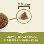 Gustul-pe-care-pisica-il-prefera-in-mod-natural.jpg